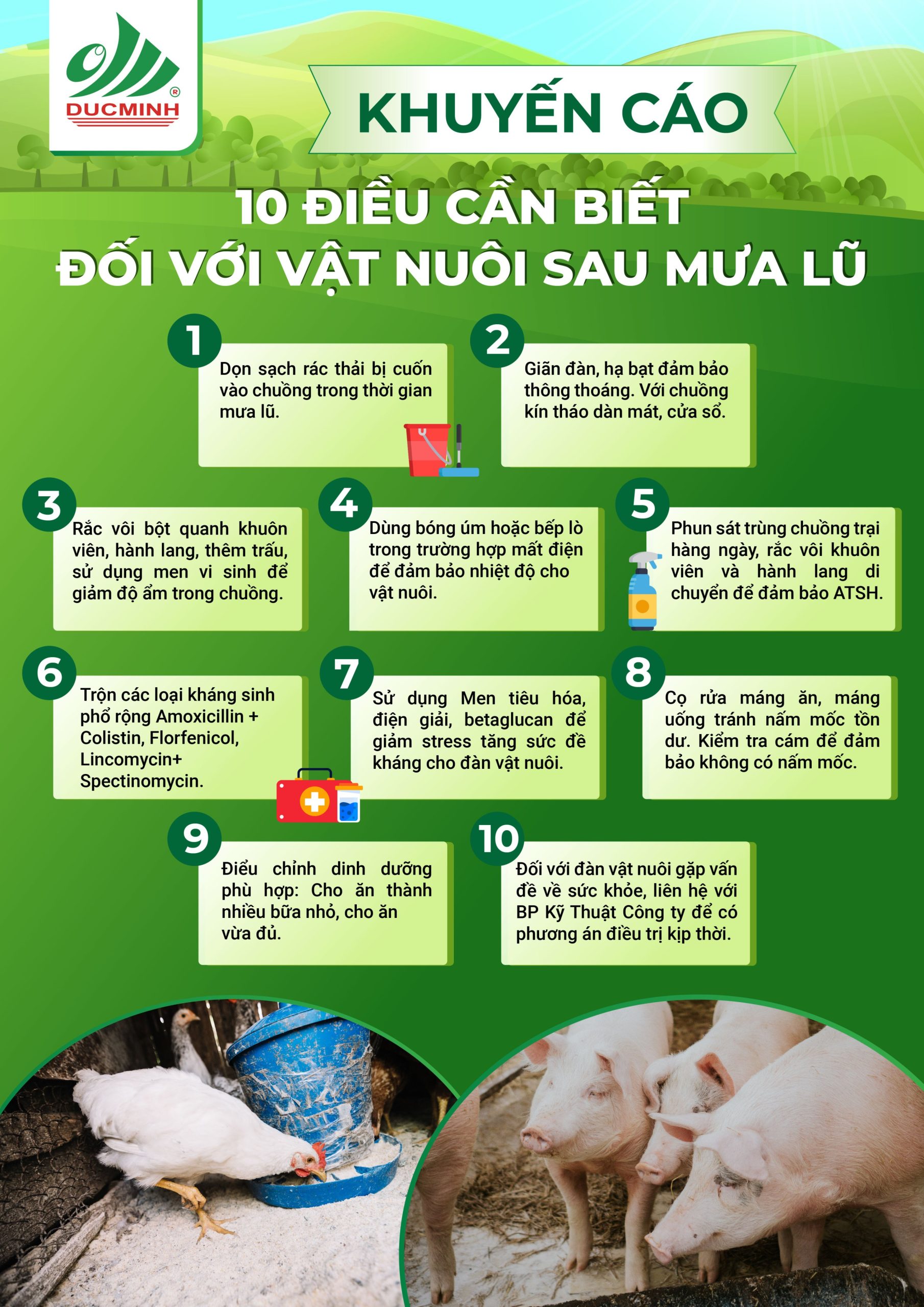 10 Điều cần biết với đàn vật nuôi sau mưa lũ