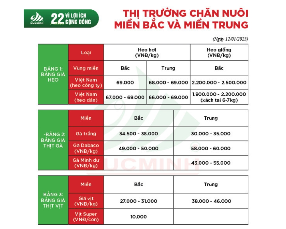 CẬP NHẬT GIÁ THÀNH THỊ TRƯỜNG CHĂN NUÔI TUẦN NÀY NGÀY 12/01/2025