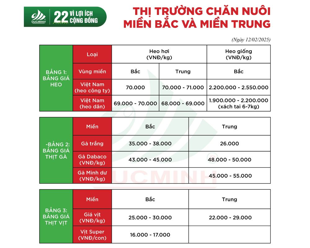 CẬP NHẬT GIÁ THÀNH THỊ TRƯỜNG CHĂN NUÔI TUẦN NÀY NGÀY 12/02/2025