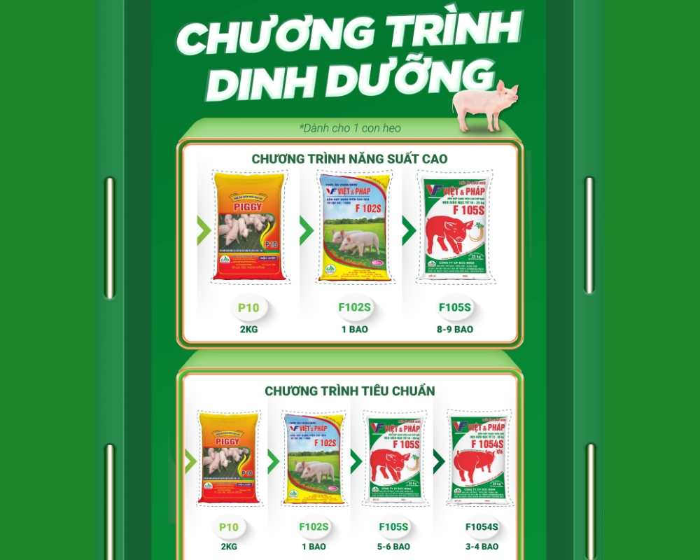 CHƯƠNG TRÌNH DINH DƯỠNG CHO LỢN TĂNG TRỌNG NHANH, PHÁT TRIỂN TOÀN DIỆN