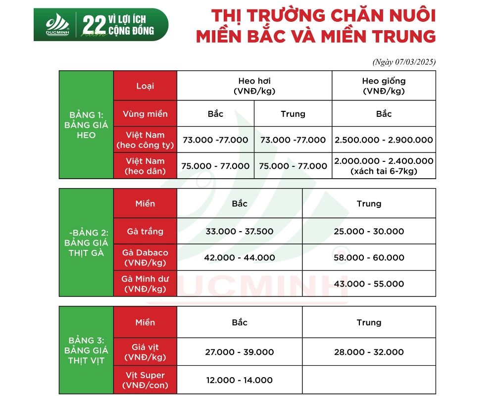 CẬP NHẬT GIÁ THÀNH THỊ TRƯỜNG CHĂN NUÔI TUẦN NÀY NGÀY 07/03/2025